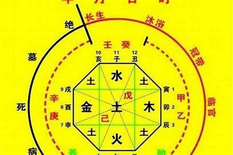 天羅地網八字|八字中的天罗地网是什么意思？八字神煞天罗地网查法及影响解析。